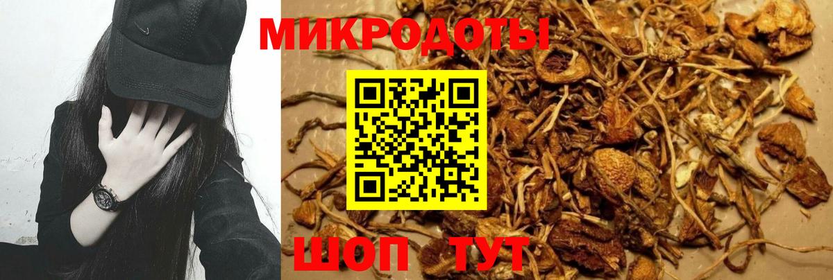 наркошоп  Псилоцибиновые грибы Magic Shrooms  Вход с VPN  Ростов Великий 